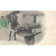 Vietnam Tonkin - Hanoï - Conducteur de Brouette 